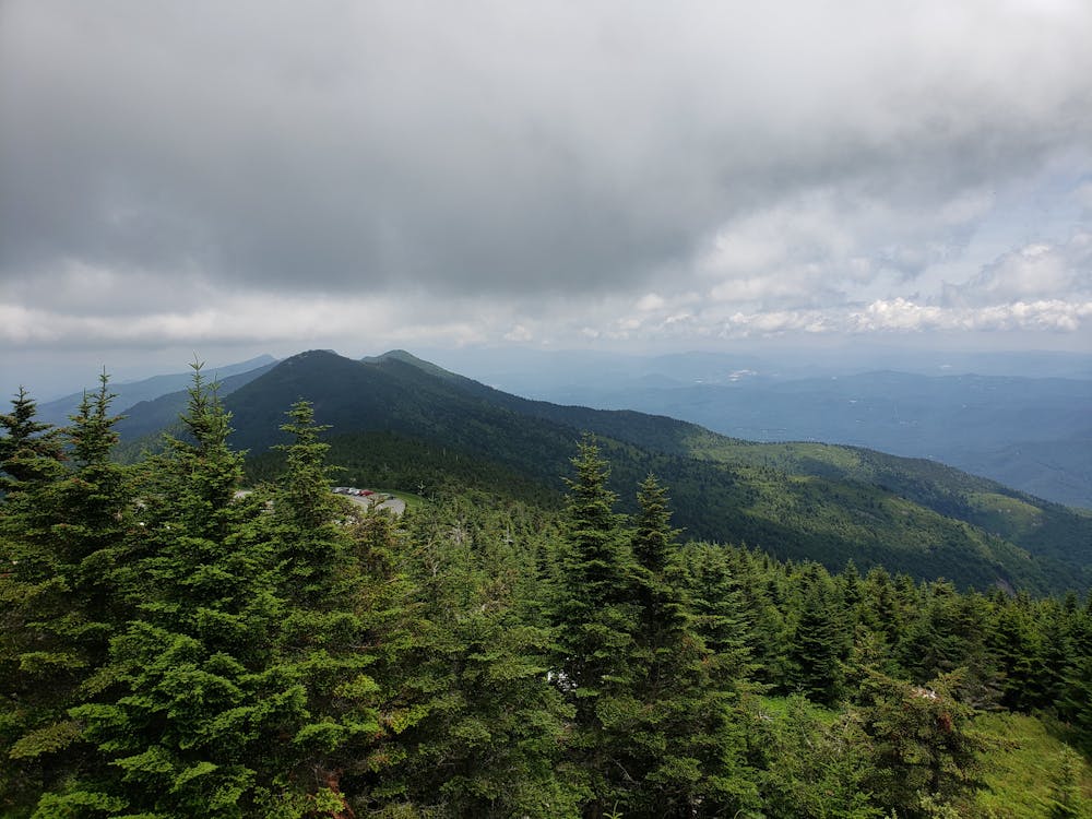 Photo from Mount Mitchell Summit Trail