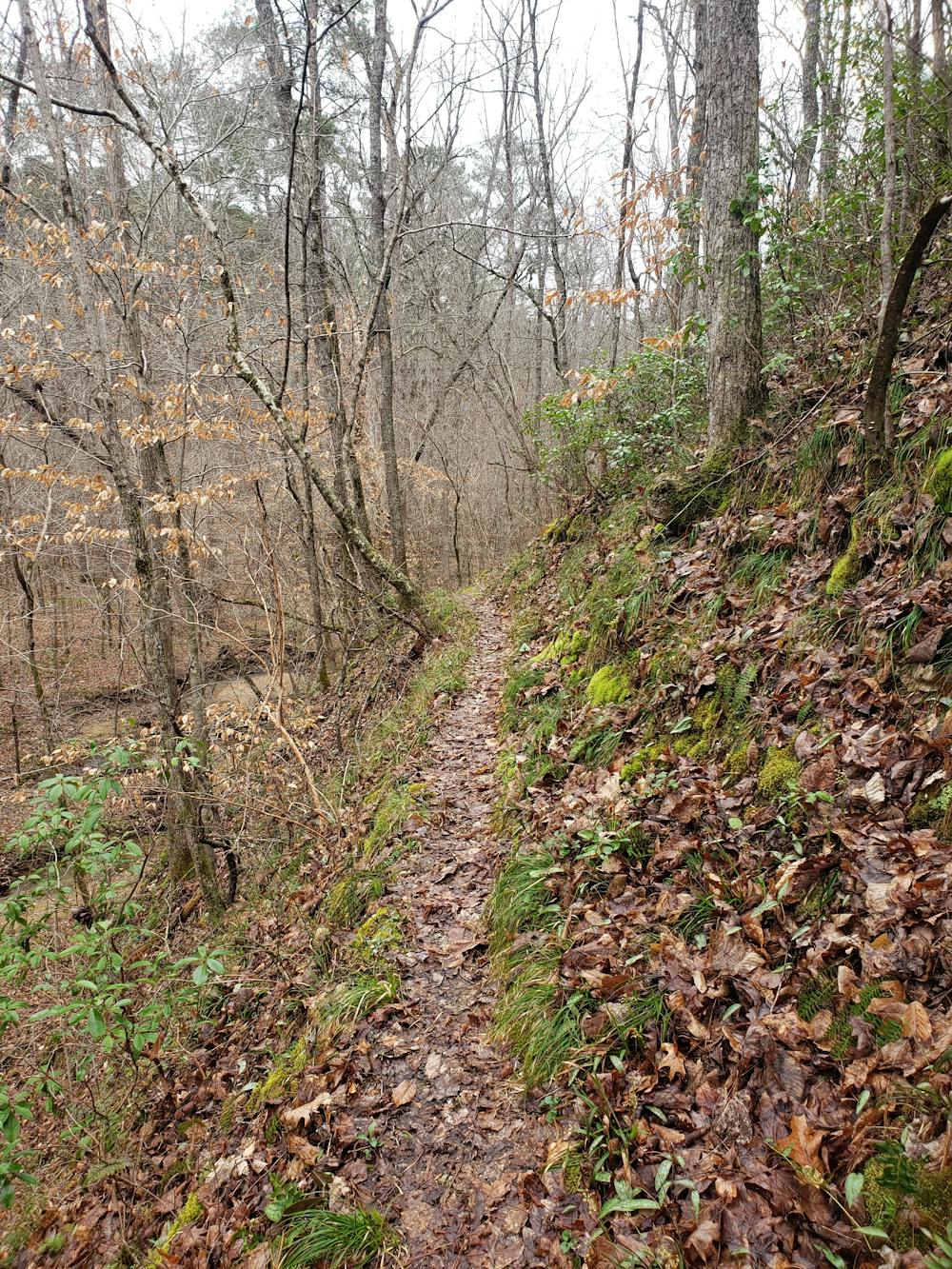 Photo from Pinhoti Trail: Cheaha State Park to FS-500