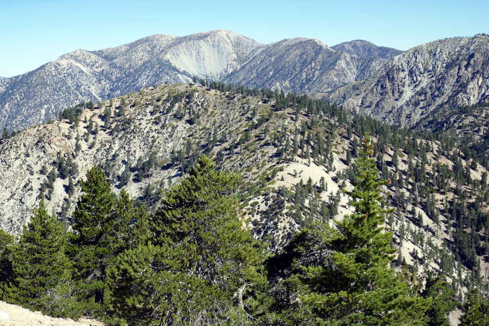 View of Mount Baldy from Cucamonga Peak