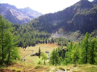 Riva Valdobbia: Bivio sul sentiero 201-Pian del Celletto