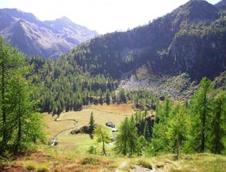 Riva Valdobbia: Bivio sul sentiero 201-Pian del Celletto