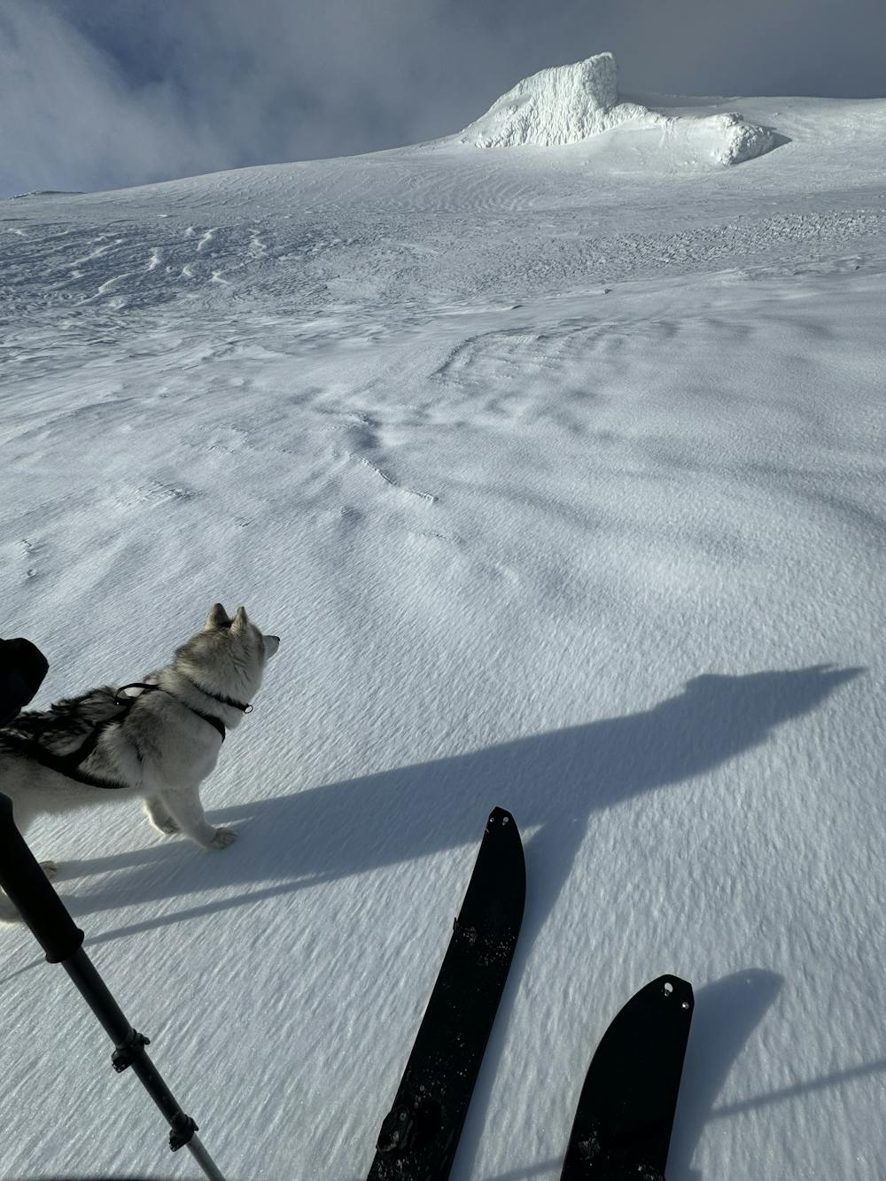 Photo from Eyjafjallajökull - South route