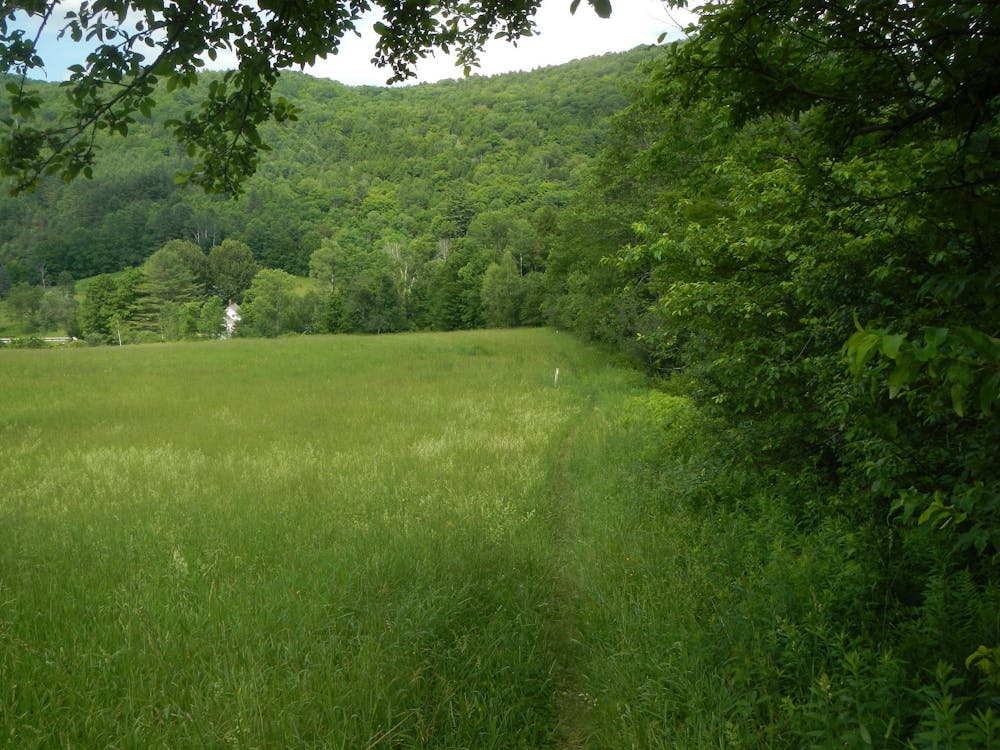 Pasture crossing in Vermont, Section 3, near Vermont 12