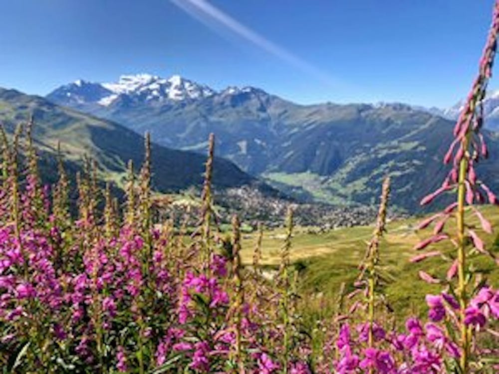 Verbier from the Bise