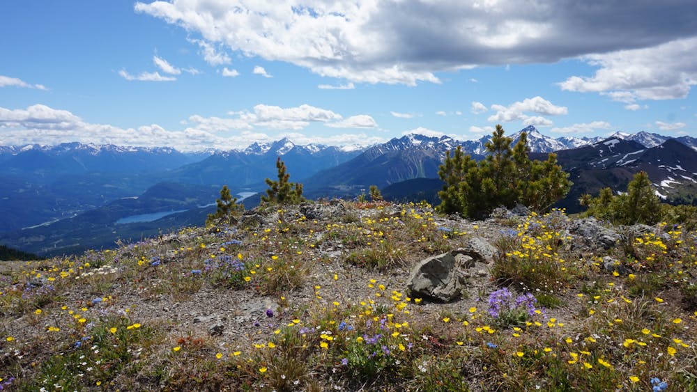 Photo from North Cinnabar Trail - South Chilcotin Mountains