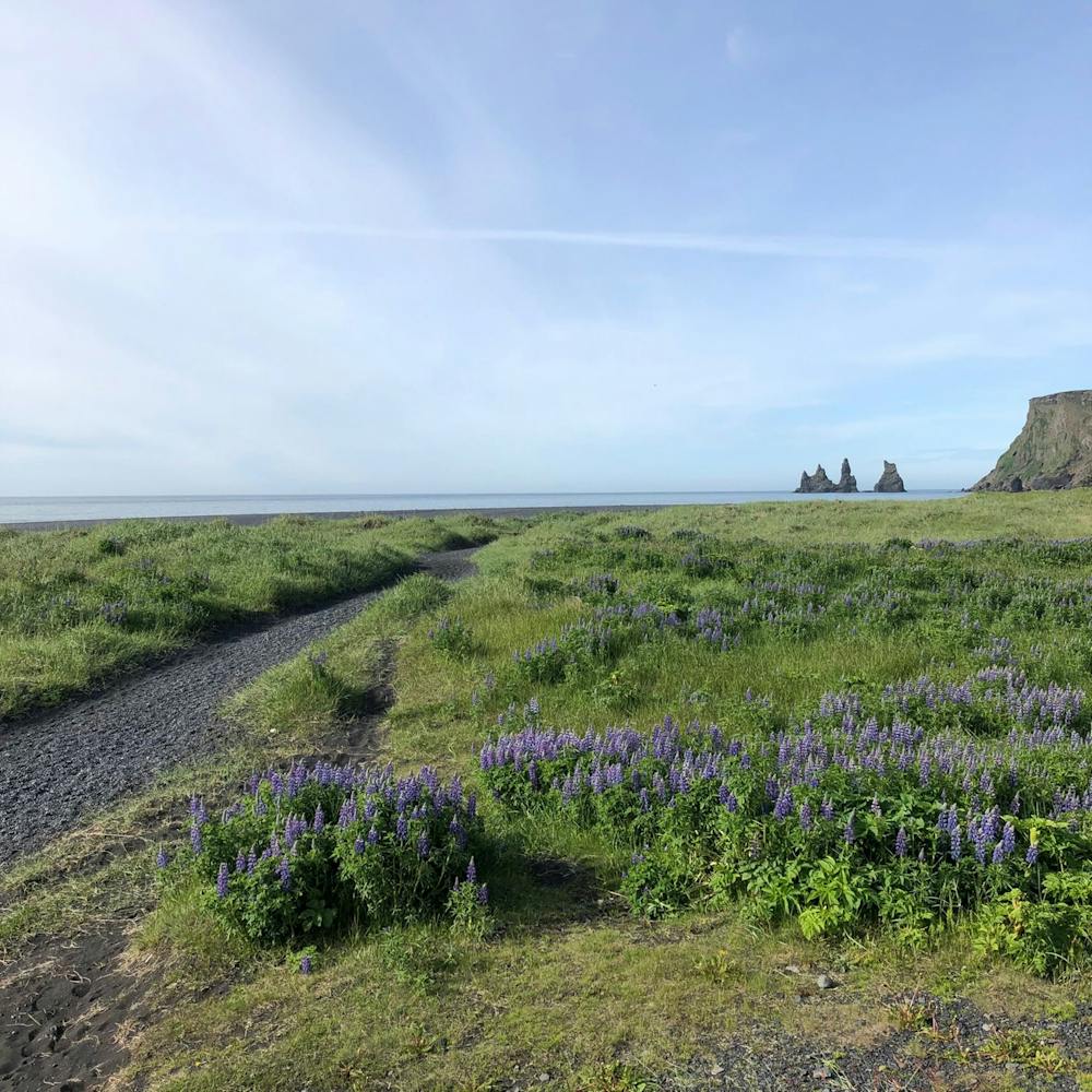 Photo from MUT Myrdalshlaup Ultra Trail