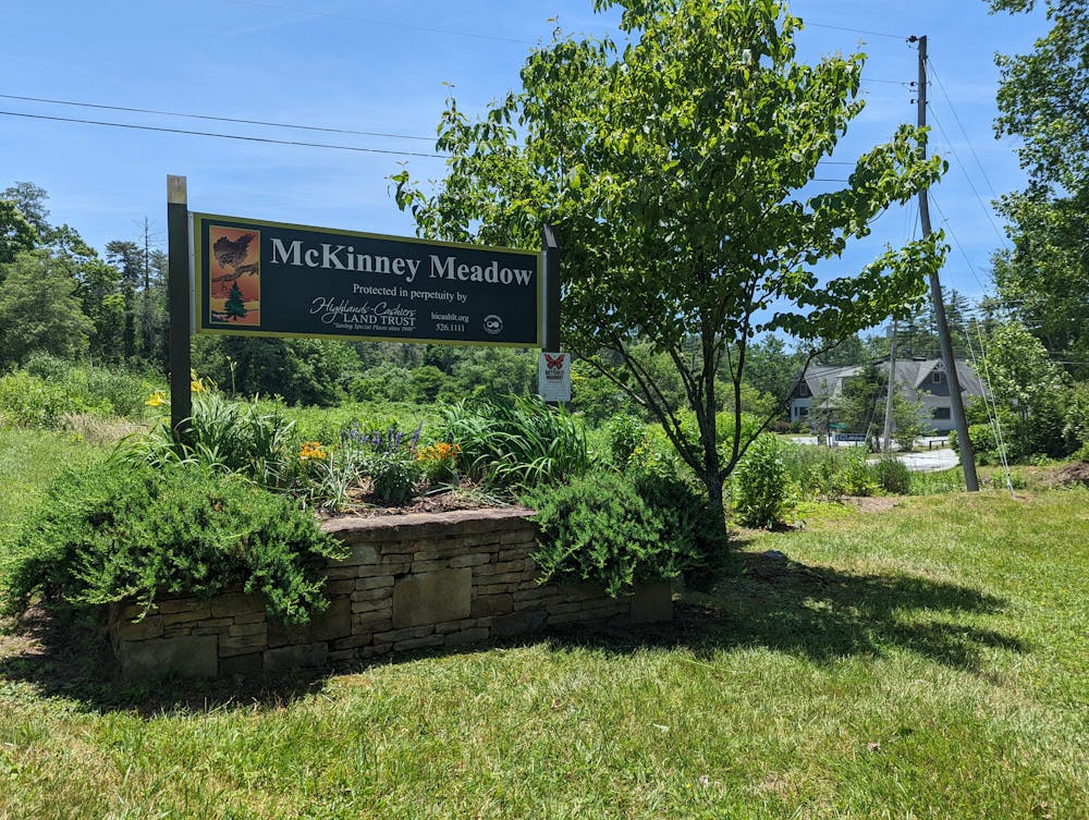McKinney Meadow 