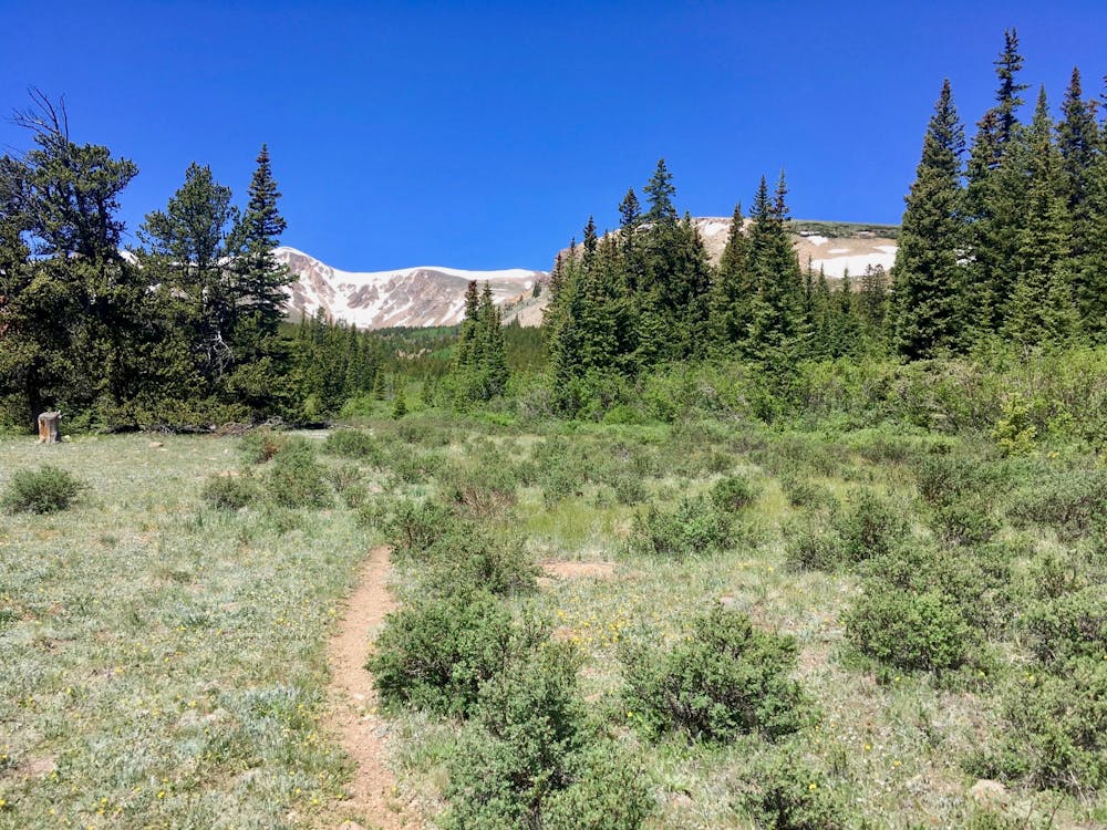 Photo from Sheep Creek Trail