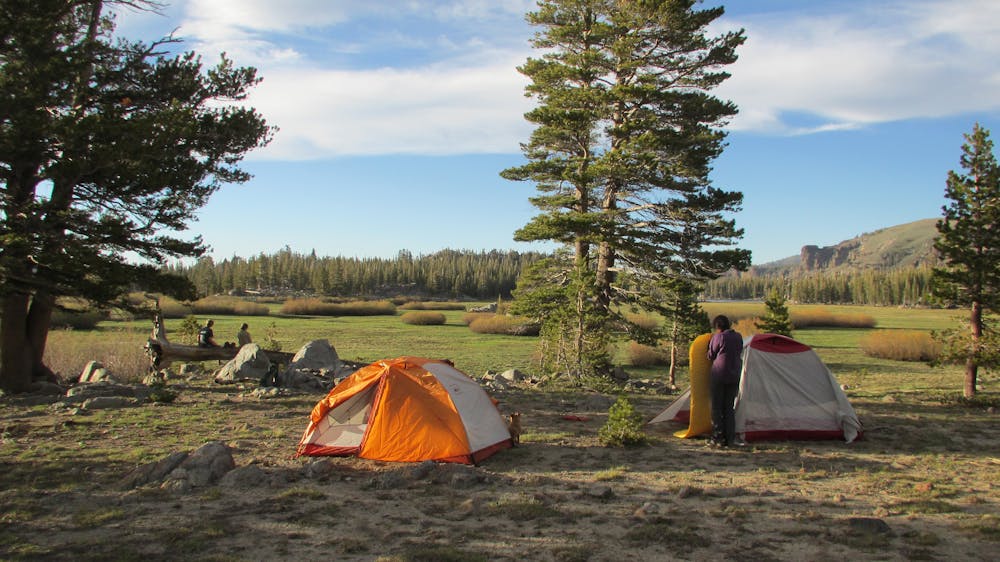 Camping at the edge of a large meadow