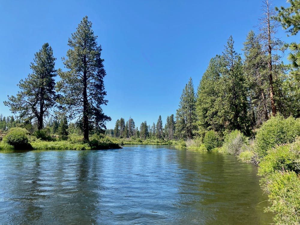Photo from Deschutes River Trail