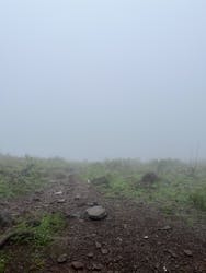 Kodachadri peak hike