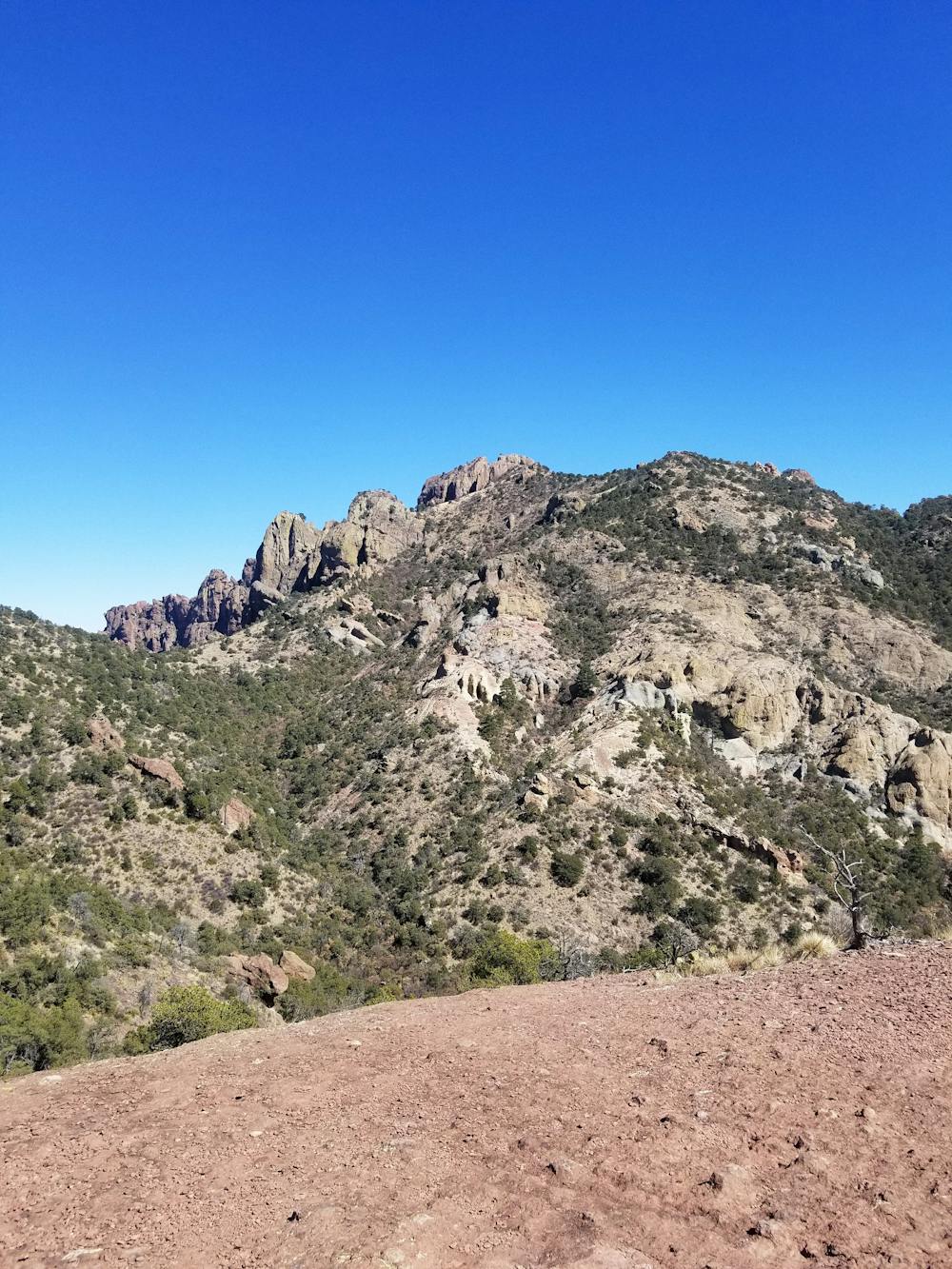 Photo from Lost Mine Trail