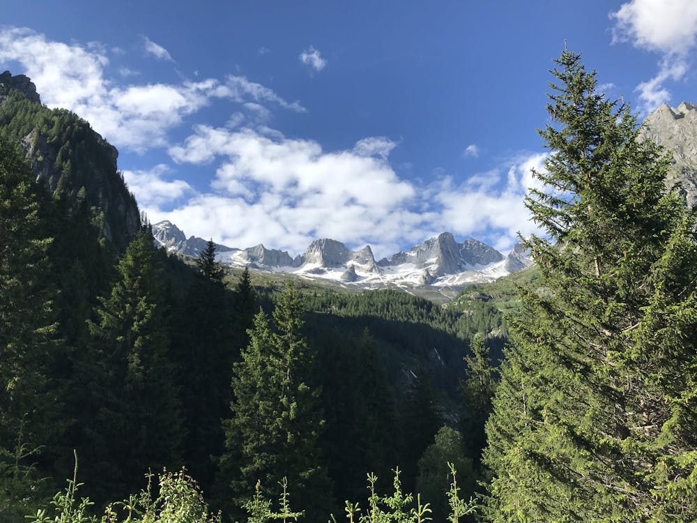 Val Porcellizzo's view from Valle dell'oro