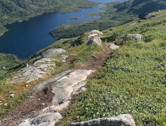 Rundfjellet: A Thrilling Mountain Run