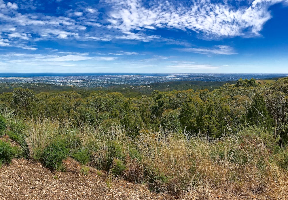 The view from the summit of Mount Lofty.