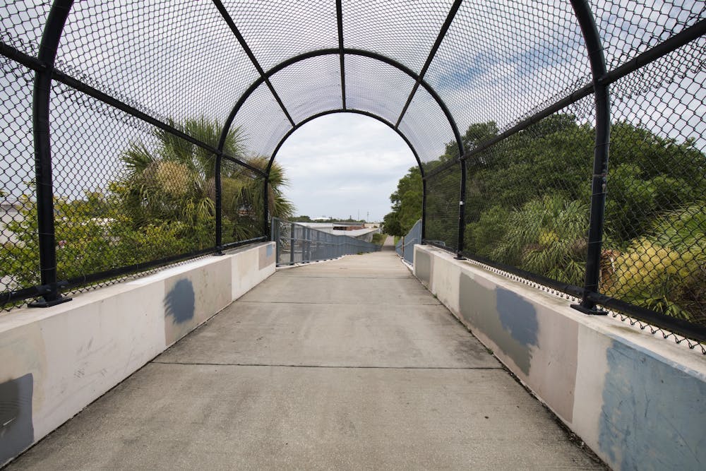 Photo from Pinellas Trail