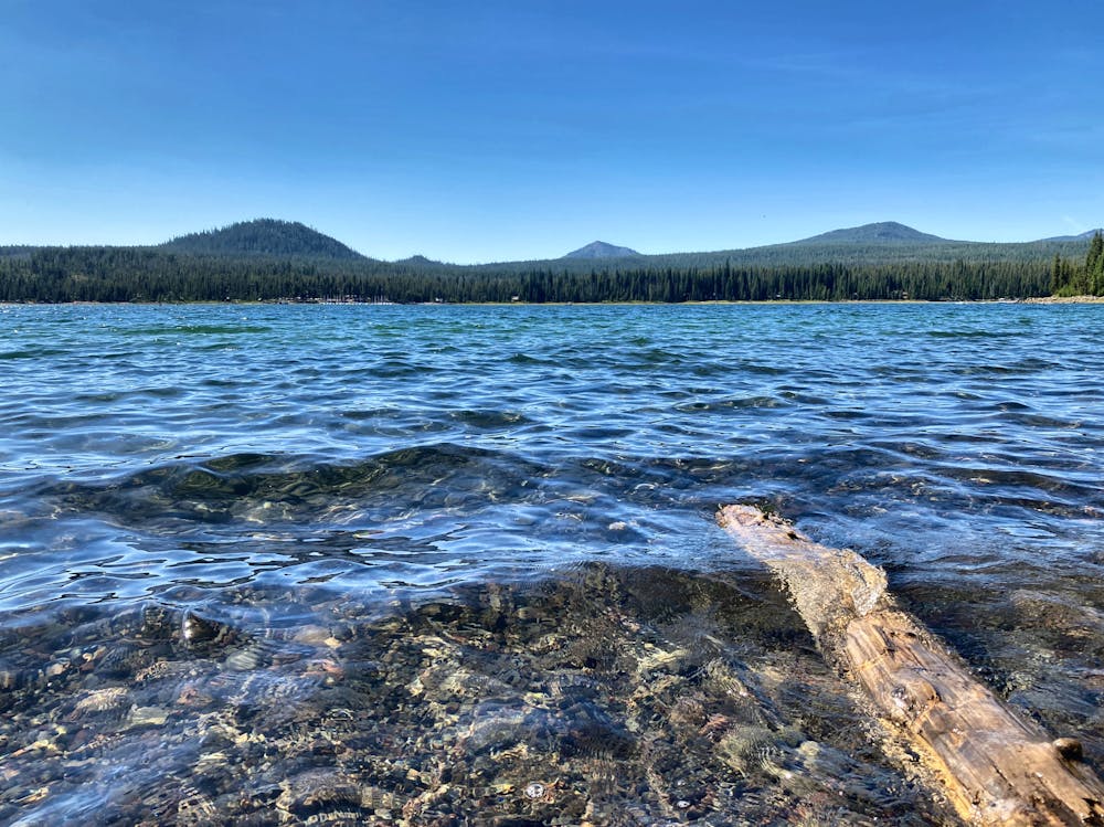 Photo from Elk Lake