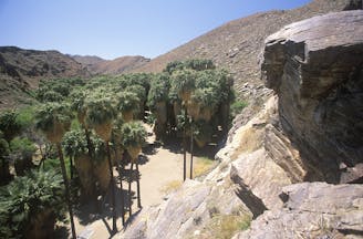 Murray Canyon Trail