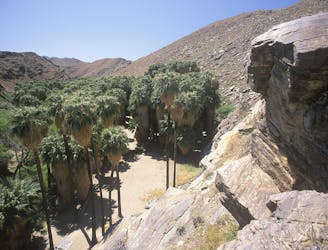Murray Canyon Trail