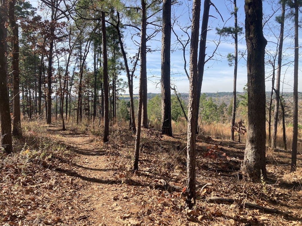 Photo from Tyler State Park Loop