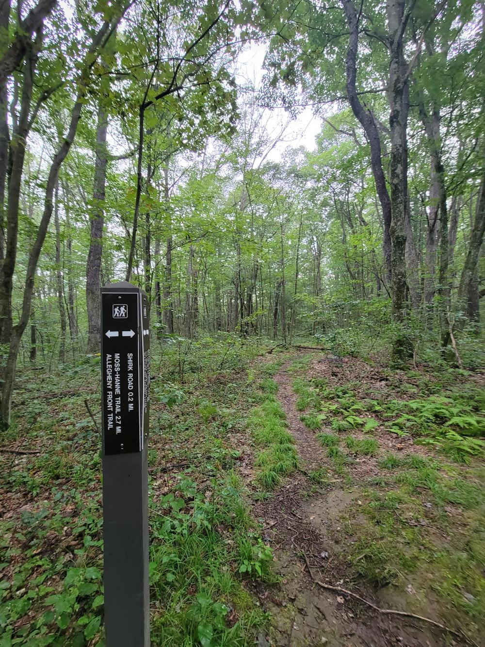 Photo from Allegheny Front Trail