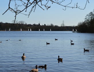 Aldenham Country Park and Reservoir