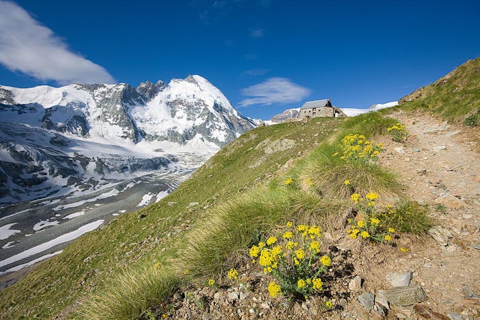 Mont Blanc to Matterhorn : The Haute Route Glacier Trek