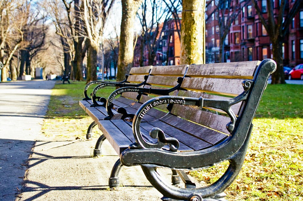 Park Bench Casts A Shadow On Commonwealth Avenue In Downtown Boston