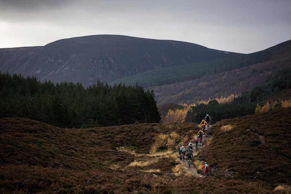 Photo from River Feshie Loop