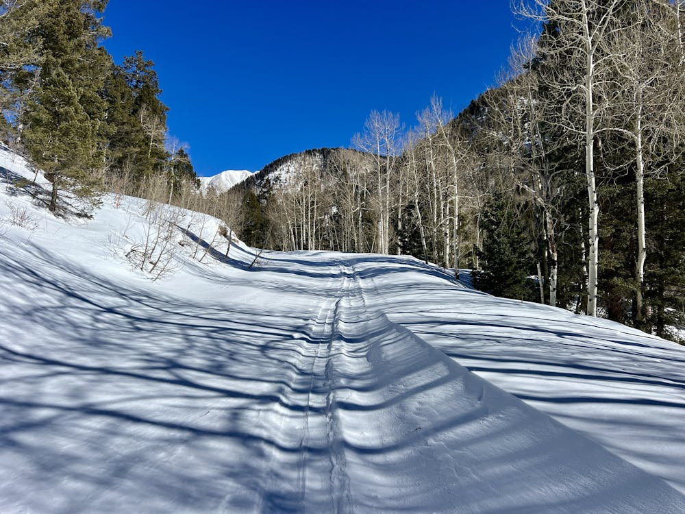 Photo from La Plata Canyon: Short Route