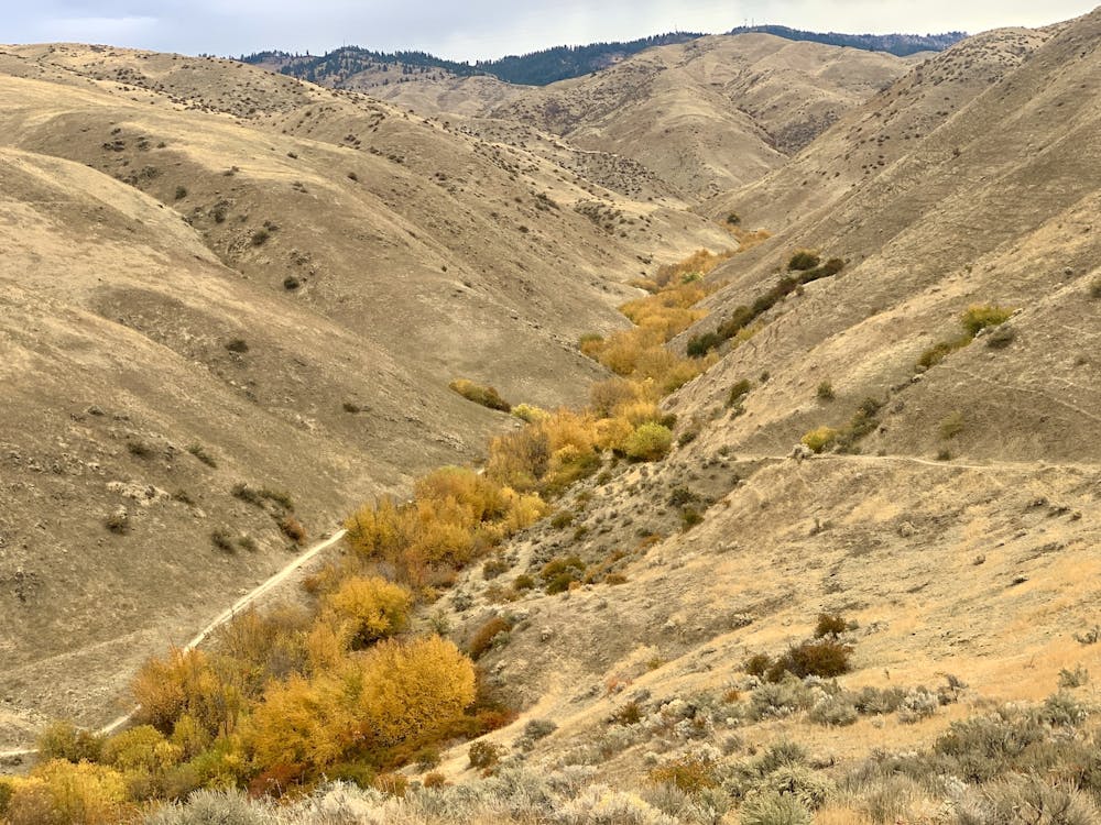 Elevated view into Dry Creek canyon