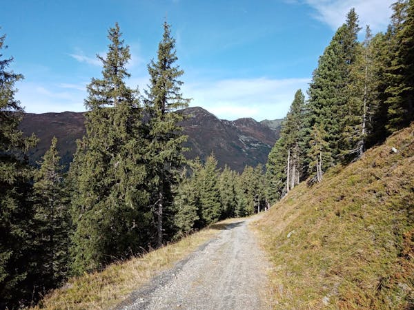 The Finest Mountain Bike Rides in the Kitzbühel Alps
