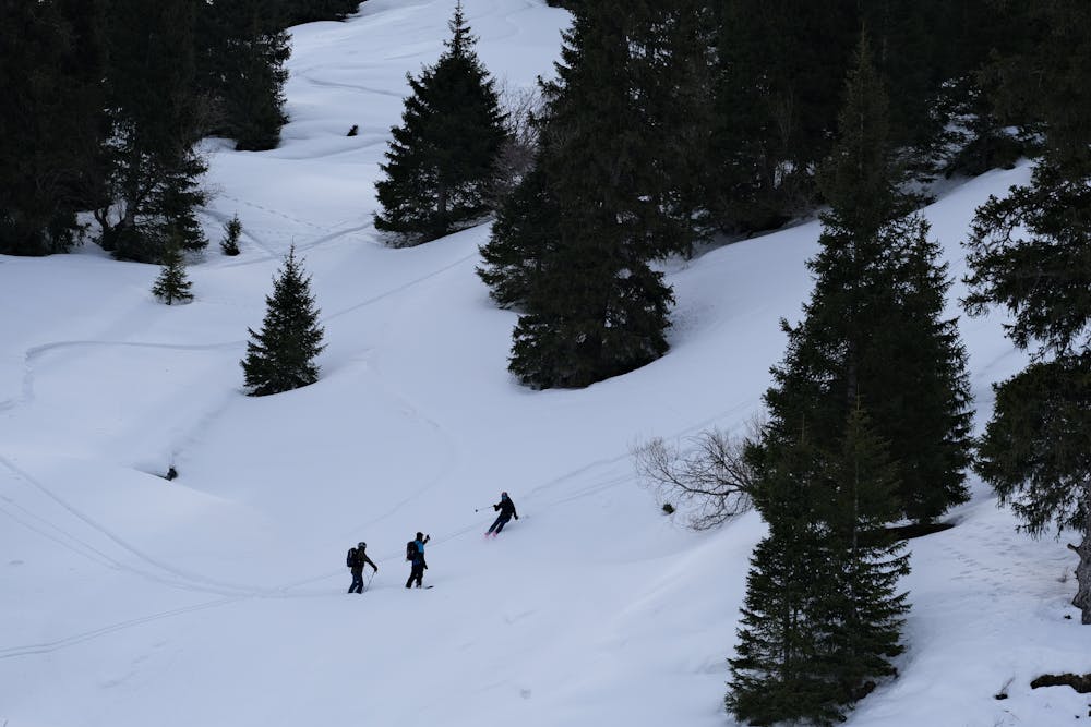 Photo from Day of small runs in the Northern forest