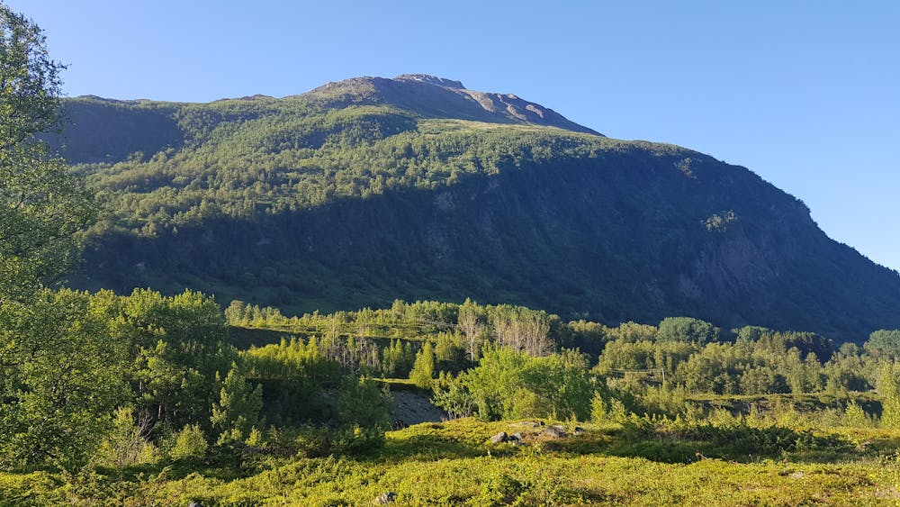 Photo from Lyngsdalen and Pollfjellet