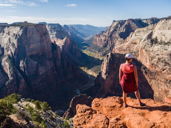 Canyons and Red Rocks: Best Hikes in Zion National Park