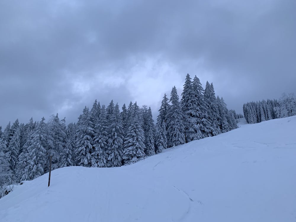 Photo from Grünten Ski Tour, Allgäu