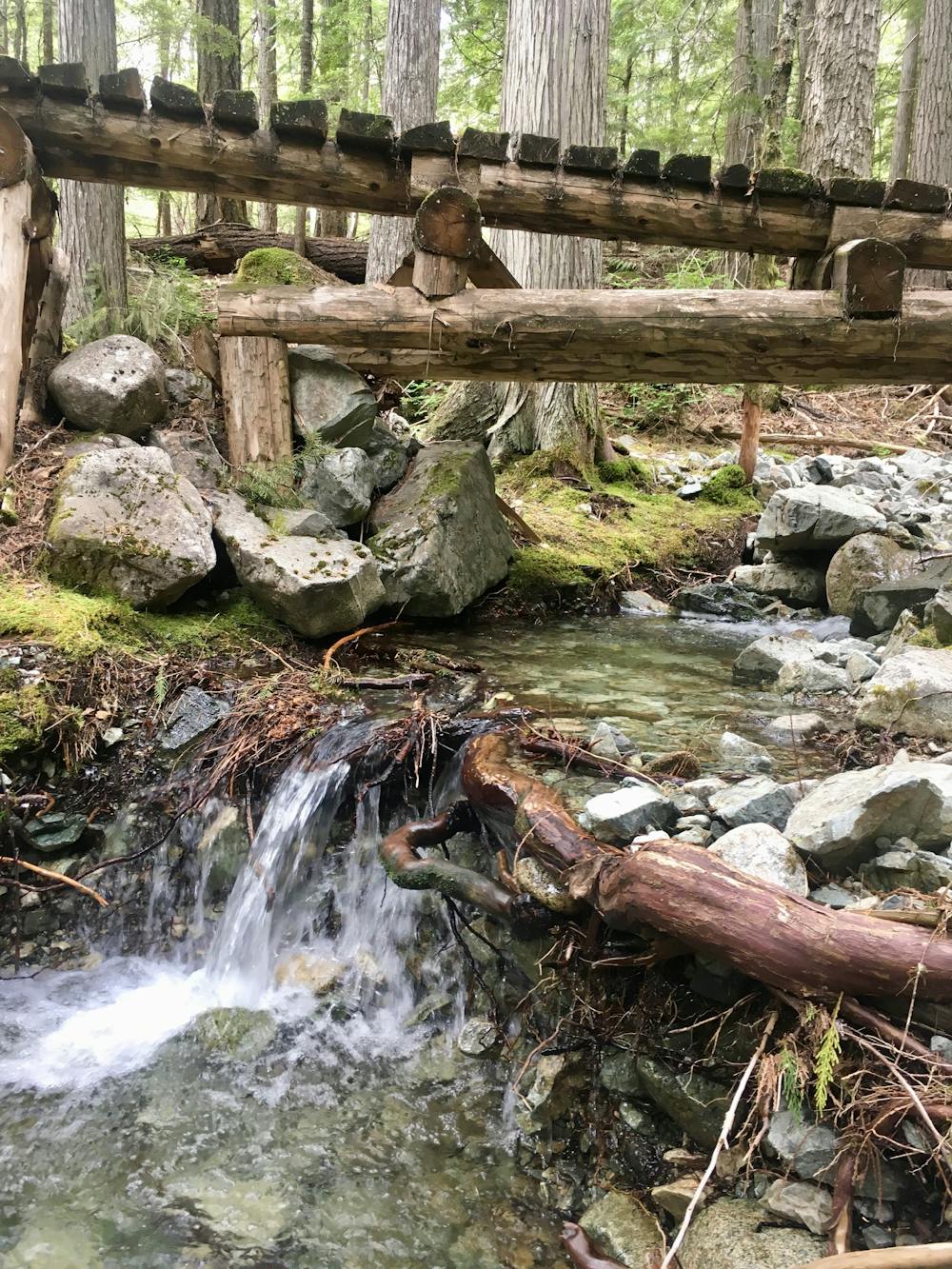 You'll cross several beautiful streams