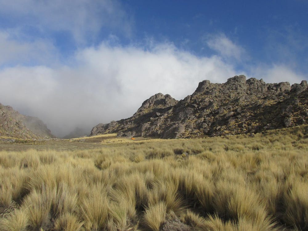 Photo from Cerro El Manchao (Catamarca)