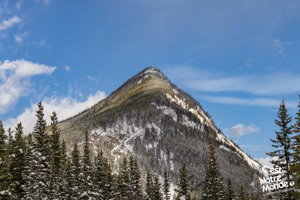 View of South Lawson Peak from the base