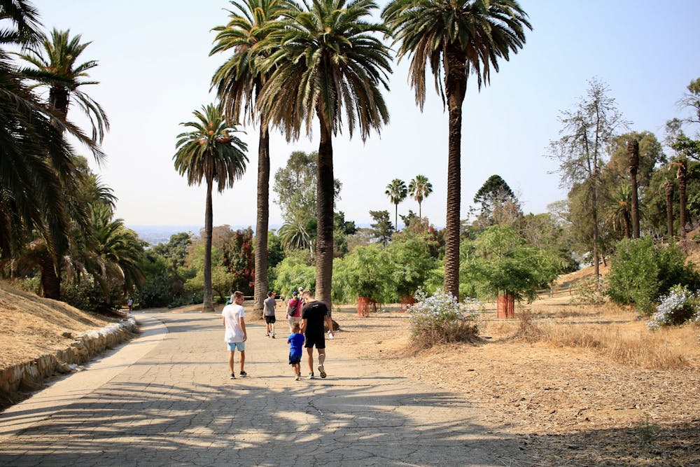 Flat trail near the south entrance of Runyon Canyon Park