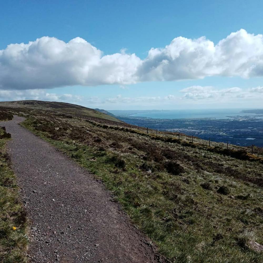 Huge views across Belfast city and port from the Ridge Trail