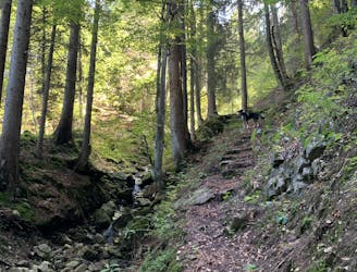 Iseler to Kühgundkopf Ridge Trail Run Loop
