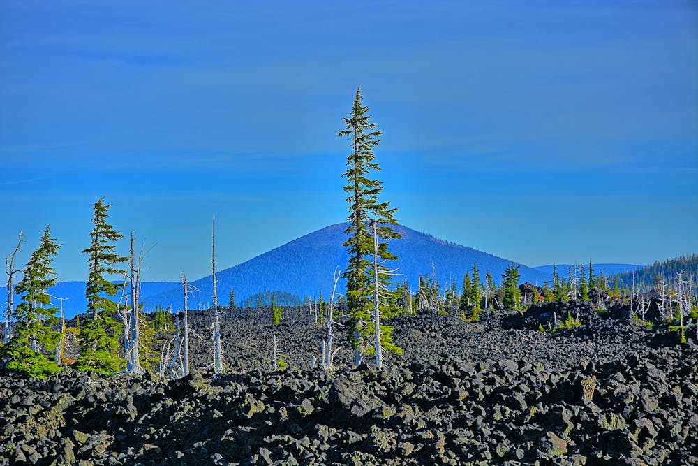 Black Butte rises in the background