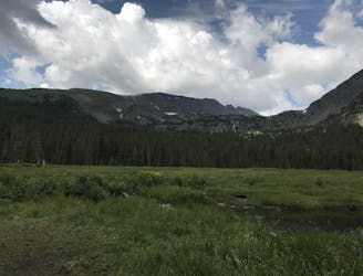 Spruce Creek Trail