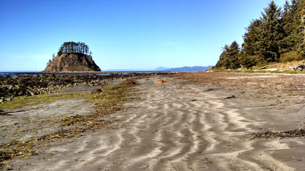 The beach and island at Cape Alava