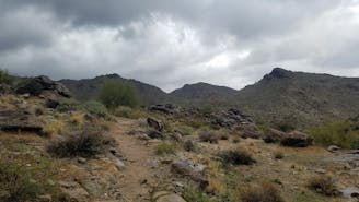 Mesquite / Willow Canyon Loop