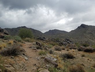 Mesquite / Willow Canyon Loop