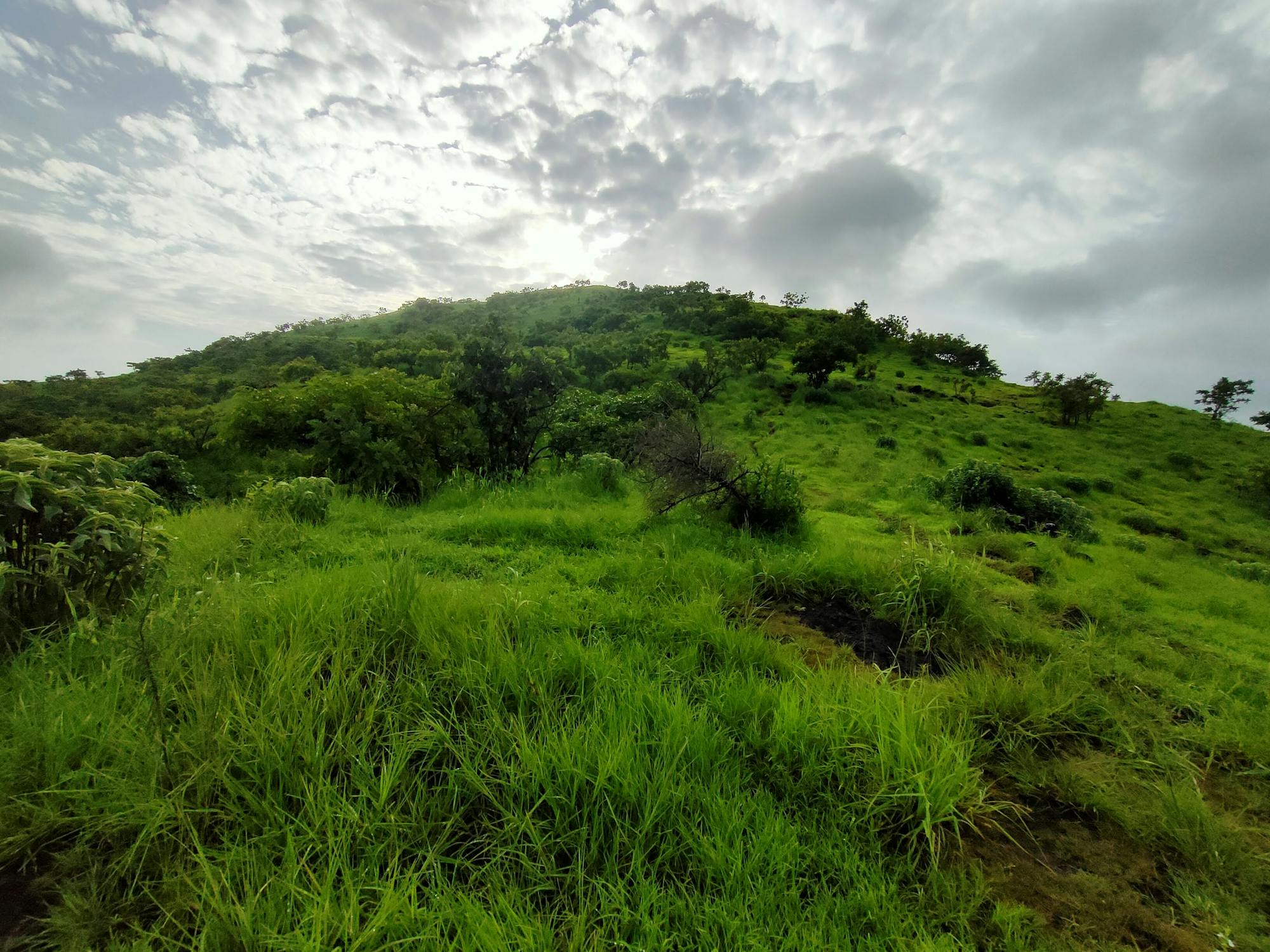 Hill from Katraj ghat towards Bopdev ghat way