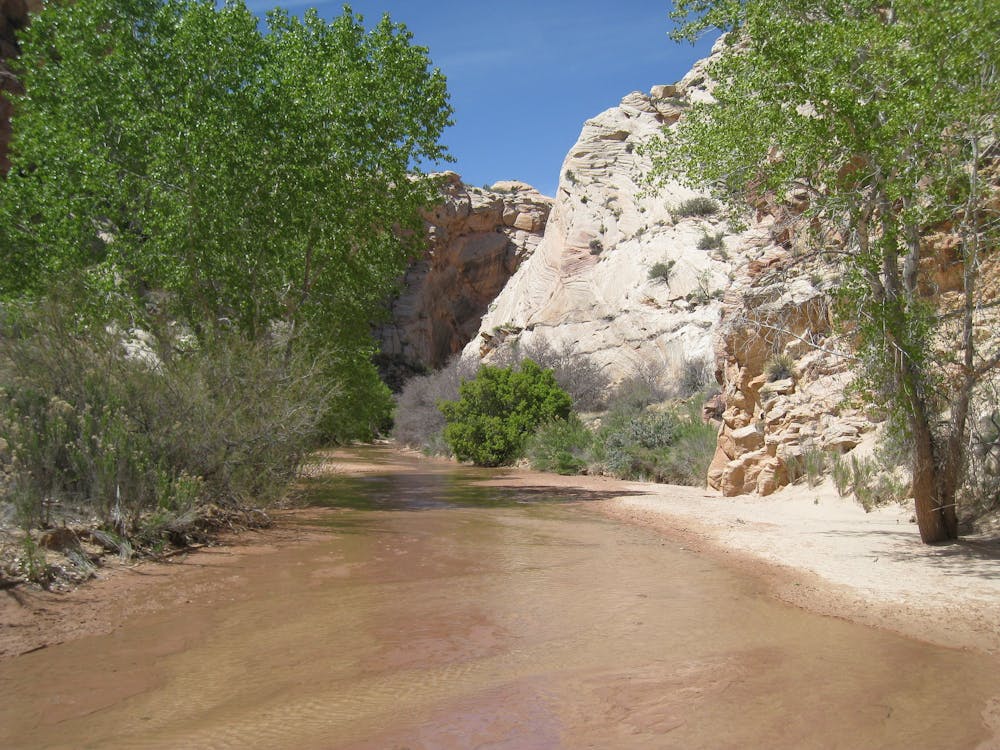 Lower Hackberry Canyon