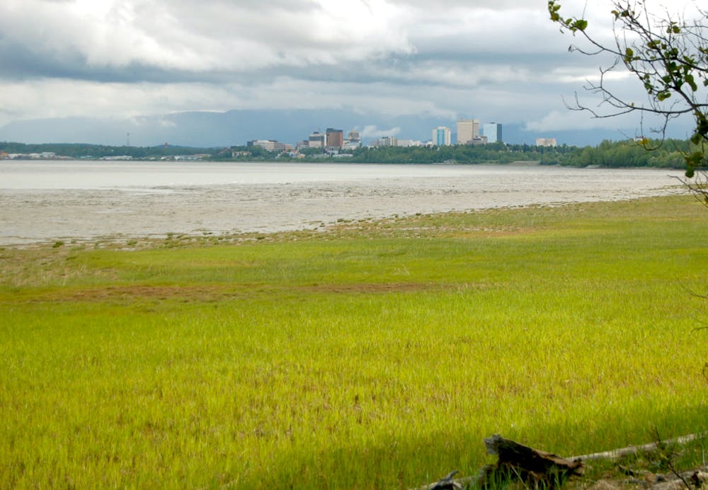 View of downtown Anchorage from the Coastal Trail